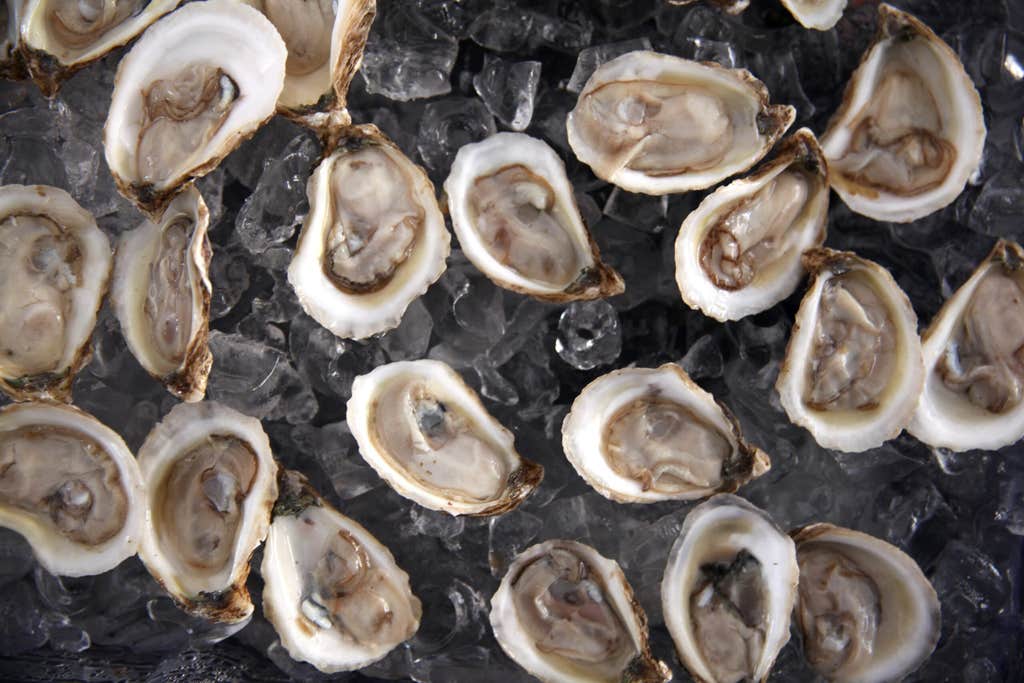 Why oysters can be part of a sustainable diet