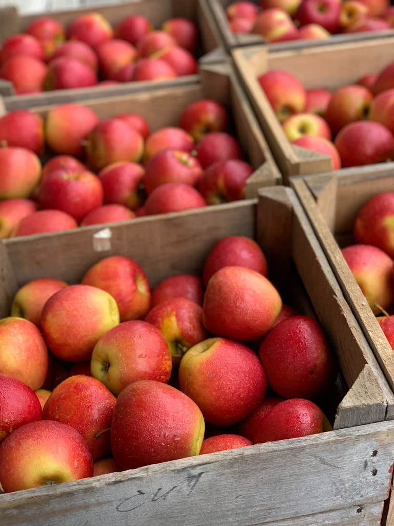 How to keep fall produce fresh