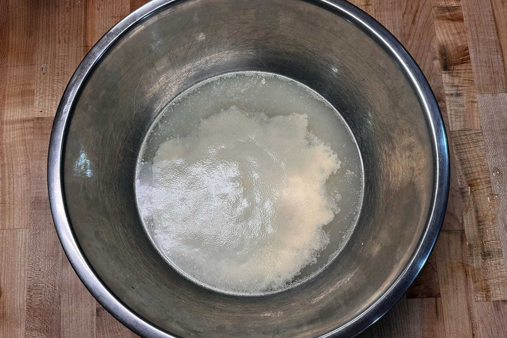 yeast blooming in bowl