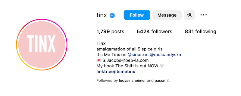 brand assets - tinx
