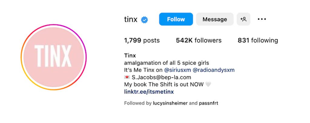 brand assets - tinx
