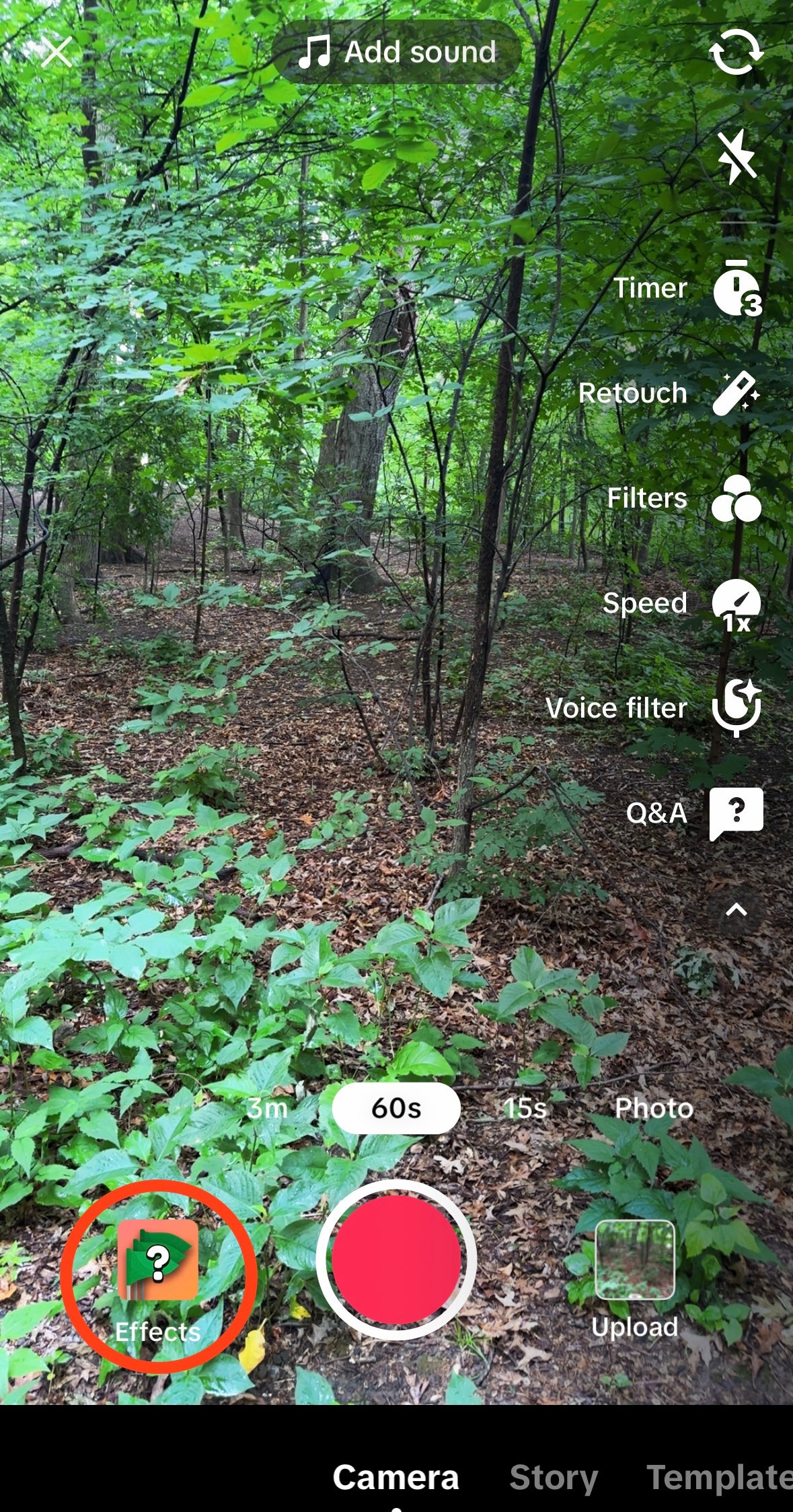 A screenshot of the window to start recording a TikTok, this one of a forest landscape. A square-shaped icon labeled “Effects” is to the left of the record button, with a red circle to draw attention to it.