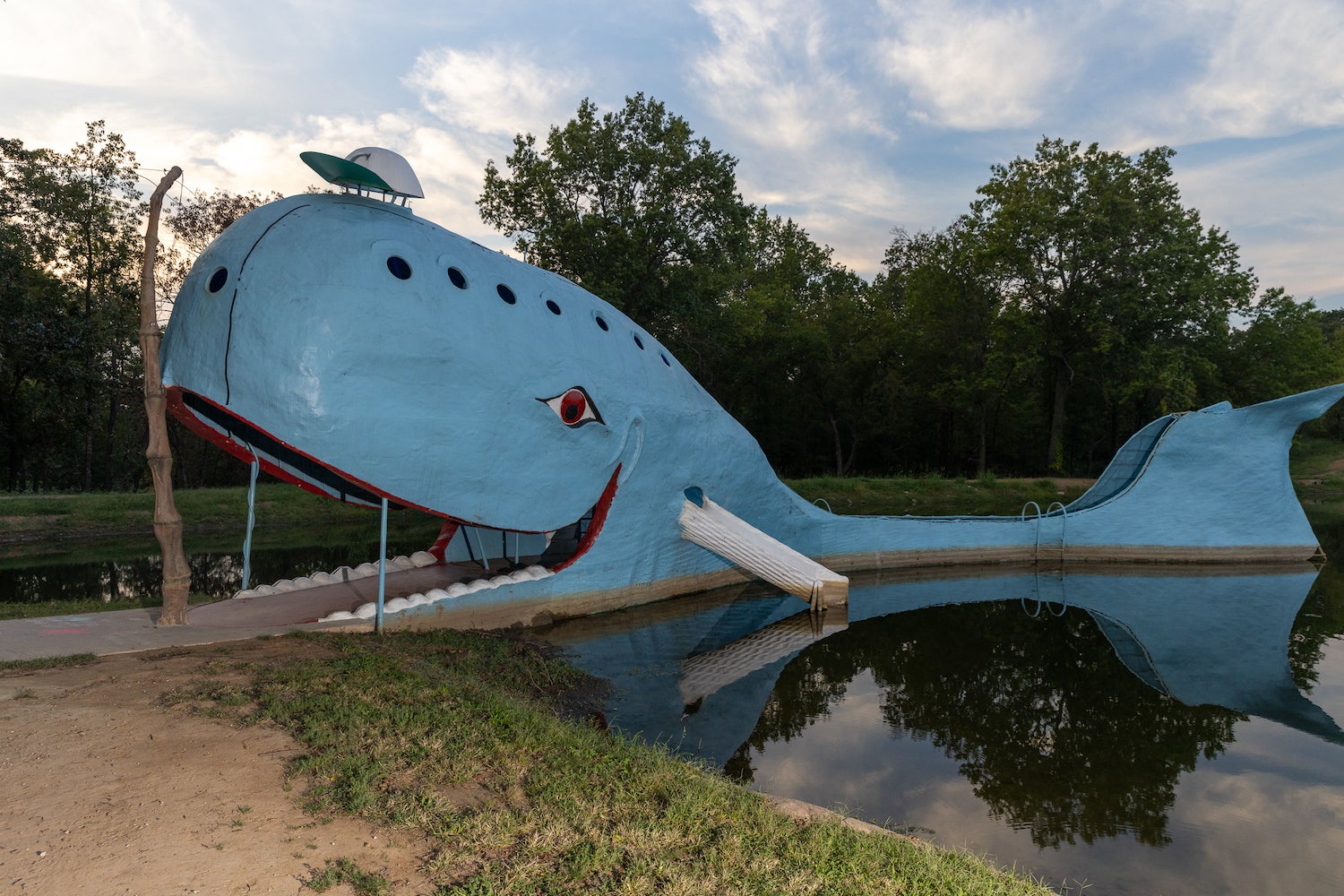 Elinchrom Three review - Blue Whale of Catoosa light up with the strobe light