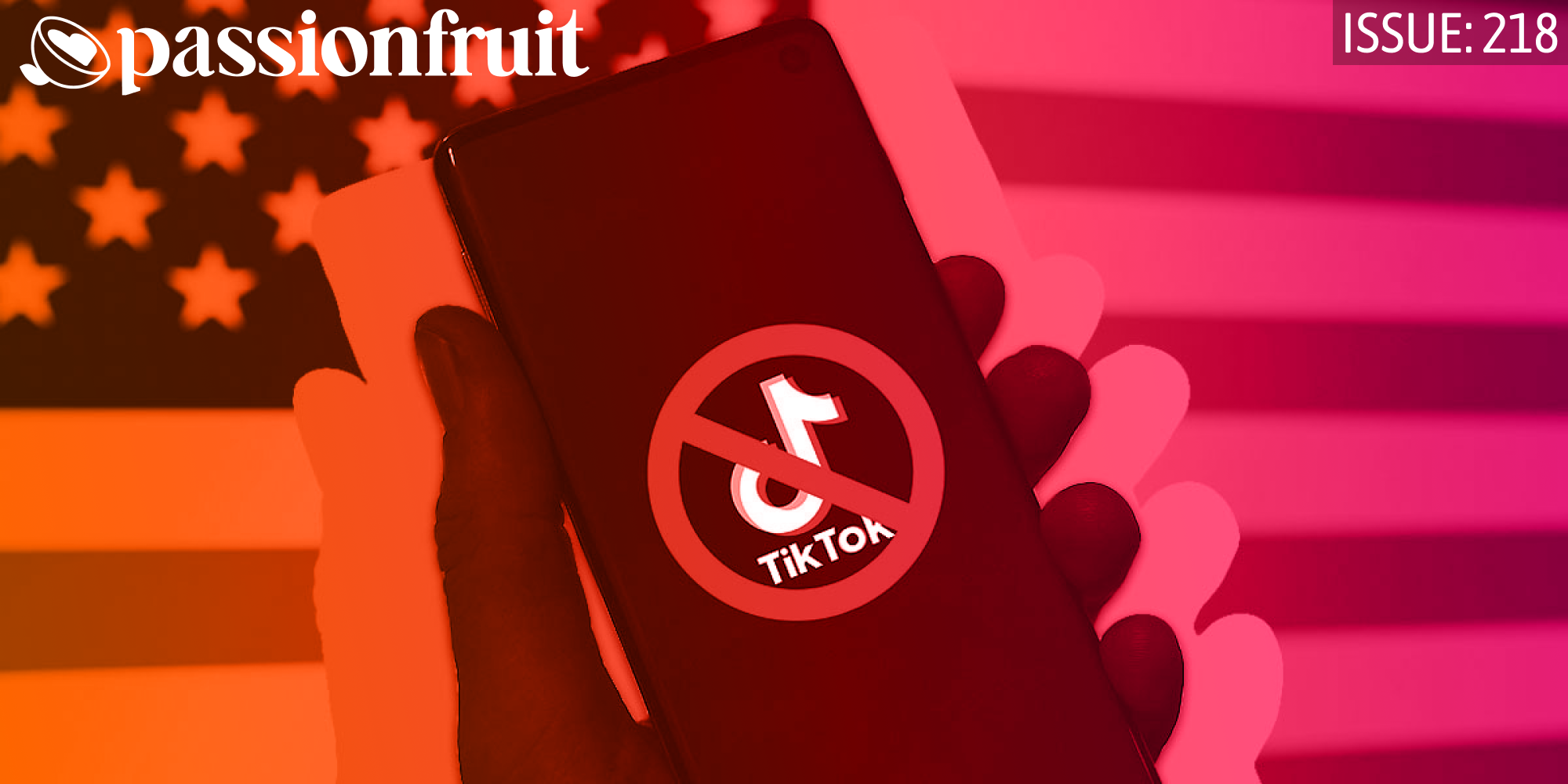 Imagining a Post-TikTok World