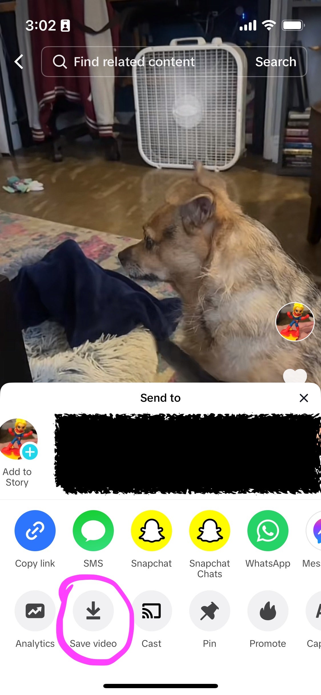 remove tiktok watermark - how to download video