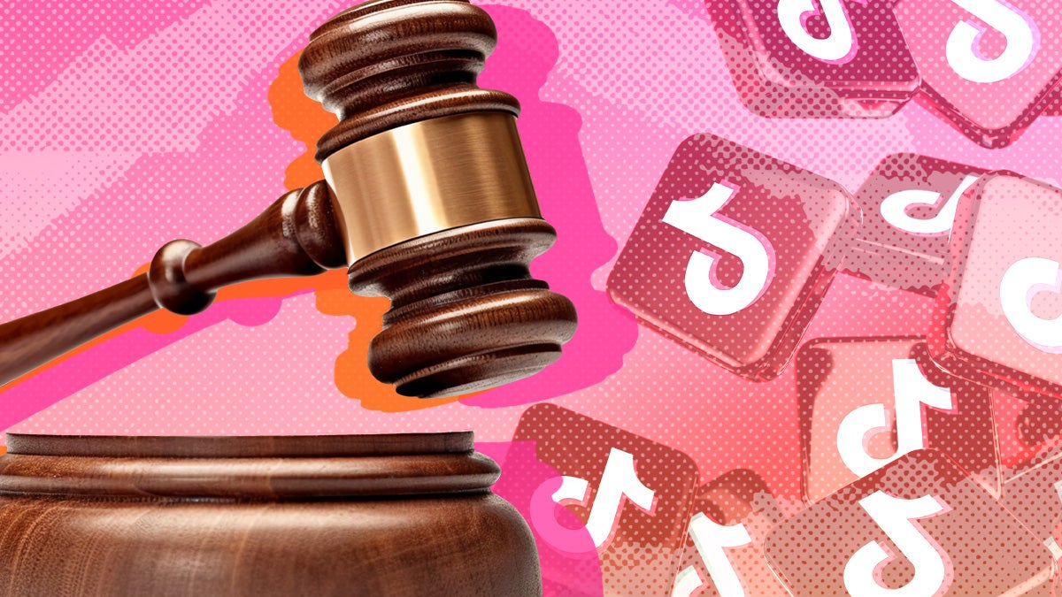 TikTok Fights For Its Life In US Appeals Hearing
