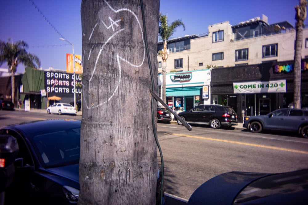 Knife in a tree in Los Angeles 