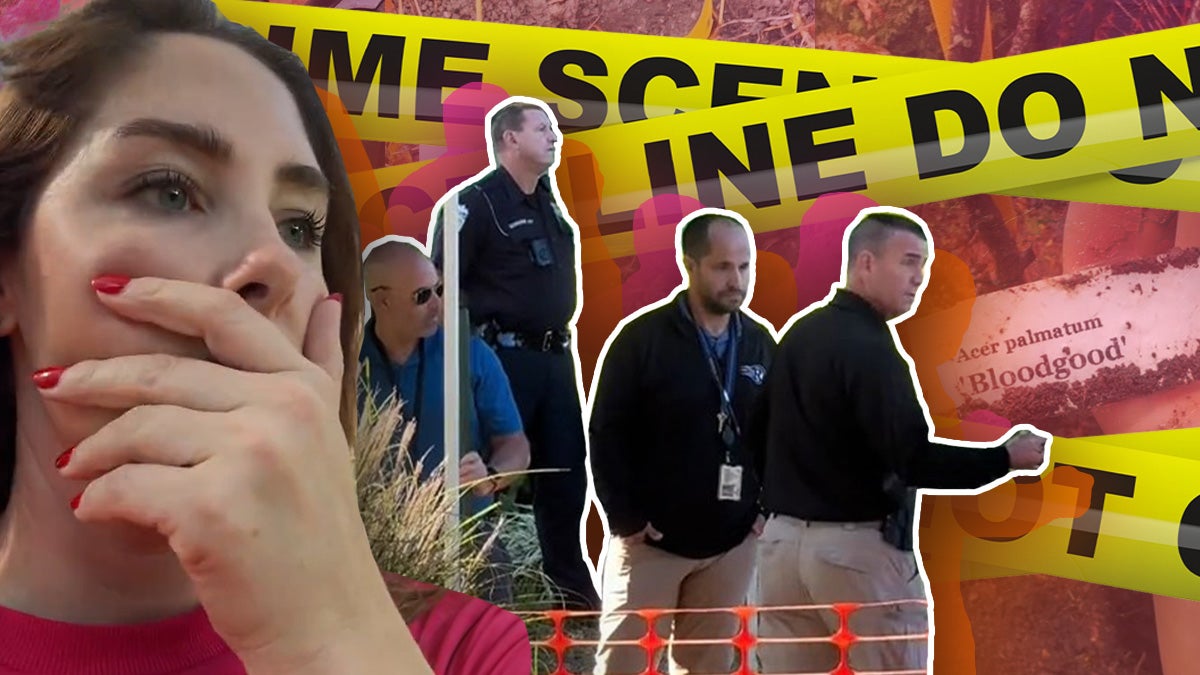 How Rug-Gate Caused a True Crime Frenzy on TikTok