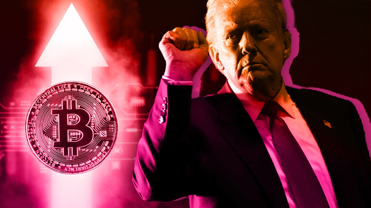 Crypto Bros Are Soaring Post-Election