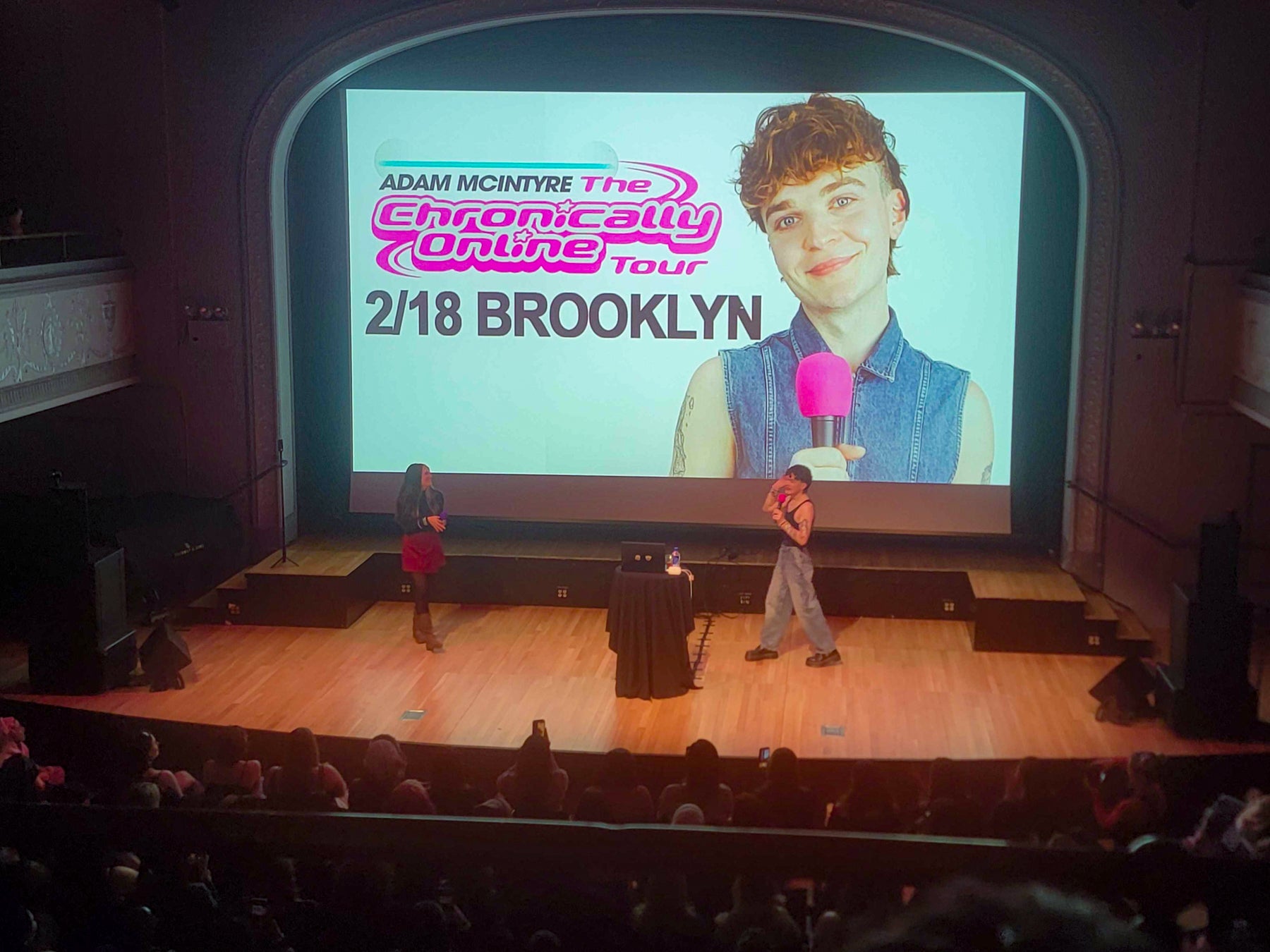 Adam McIntyre - chronically online tour live review