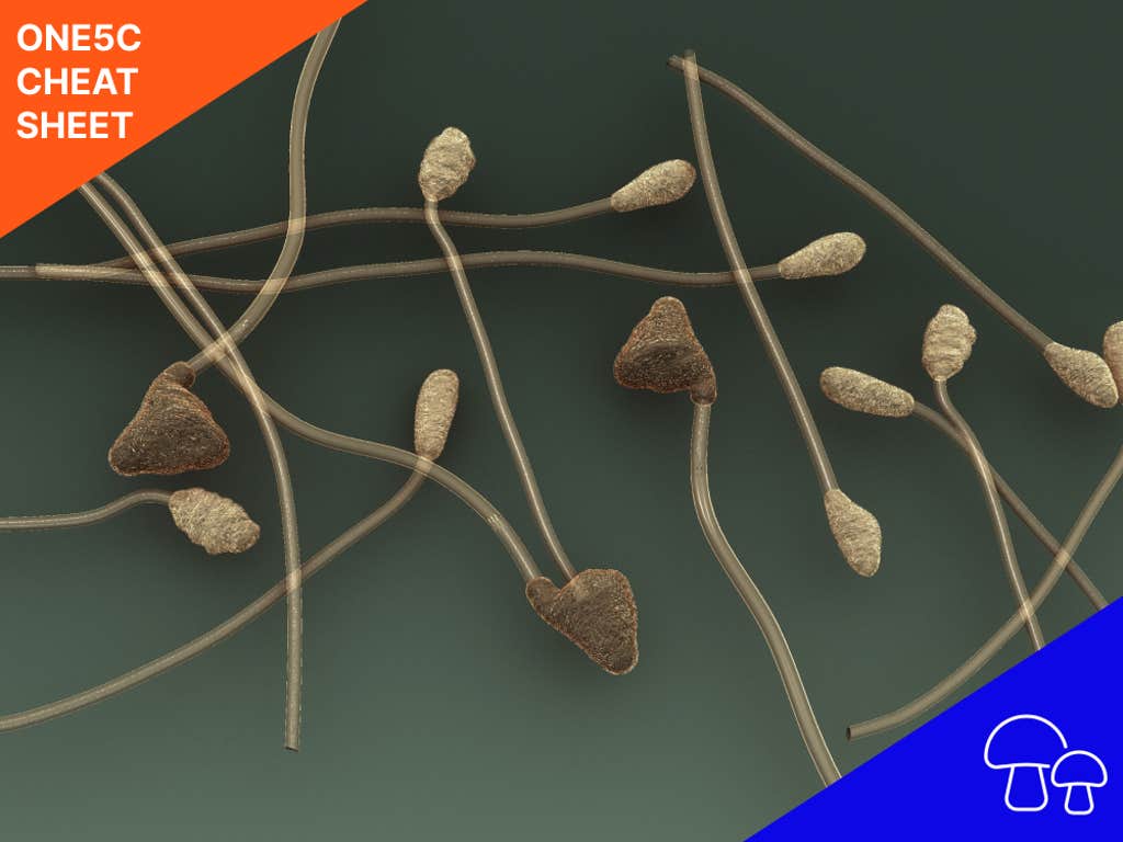 Can microbes gobble up our plastic problems?