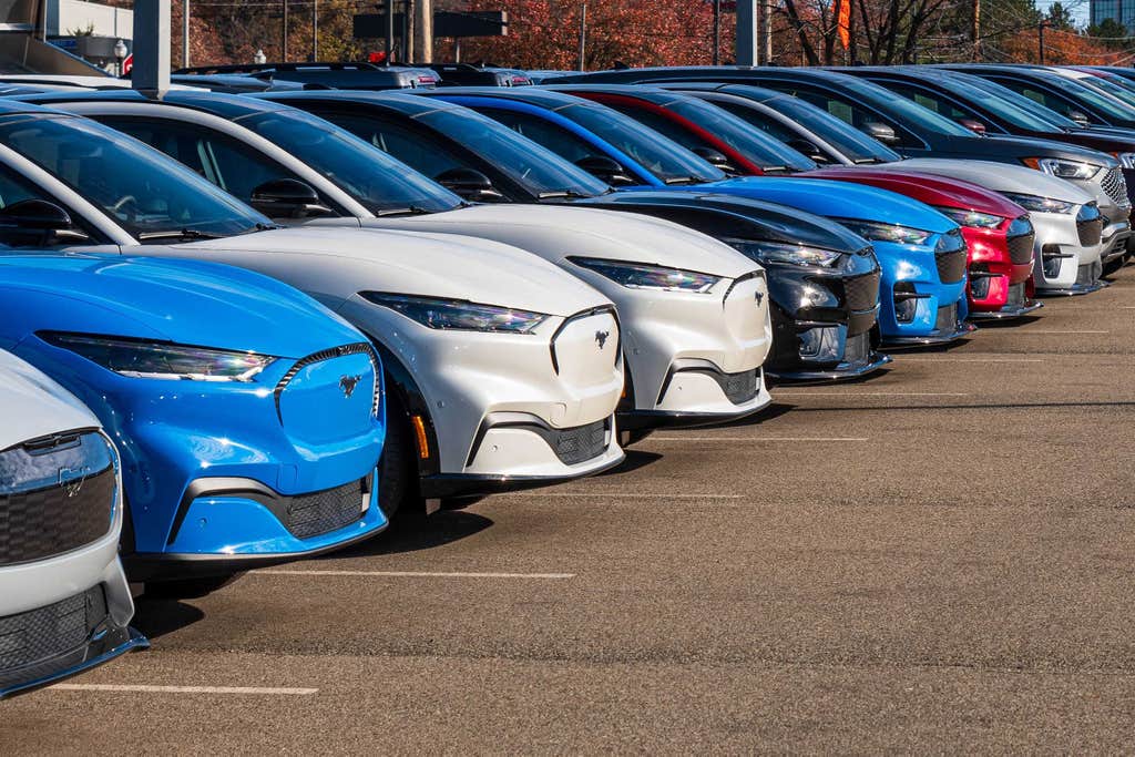 Mulched Christmas trees, discounted EVs, and rebounding seagrass