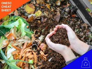 Large-scale solutions for addressing food waste