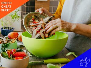 Recycling food waste: What you need to know