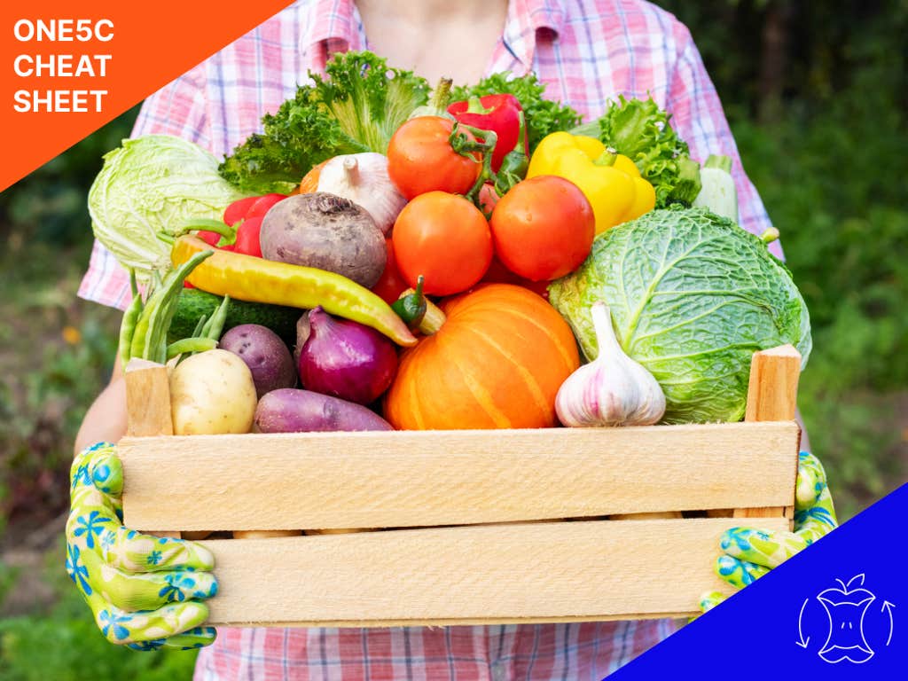 How to cut down on food waste at home