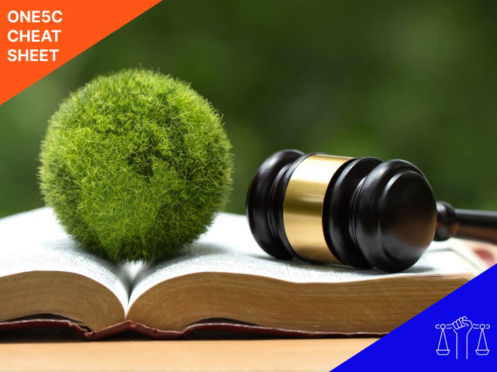 An in-depth look at food waste policies and laws