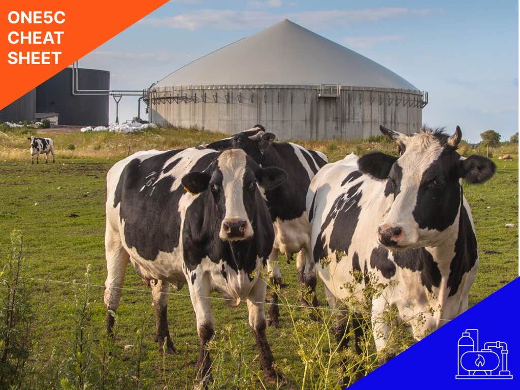 Transforming food waste into energy