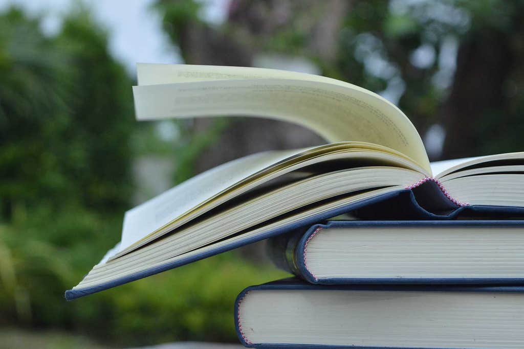 The best climate books to read this summer