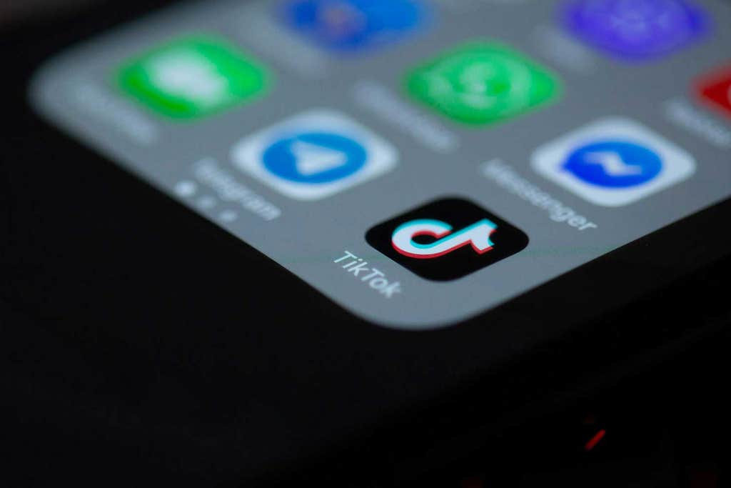 What happens to the climate movement if TikTok’s banned?