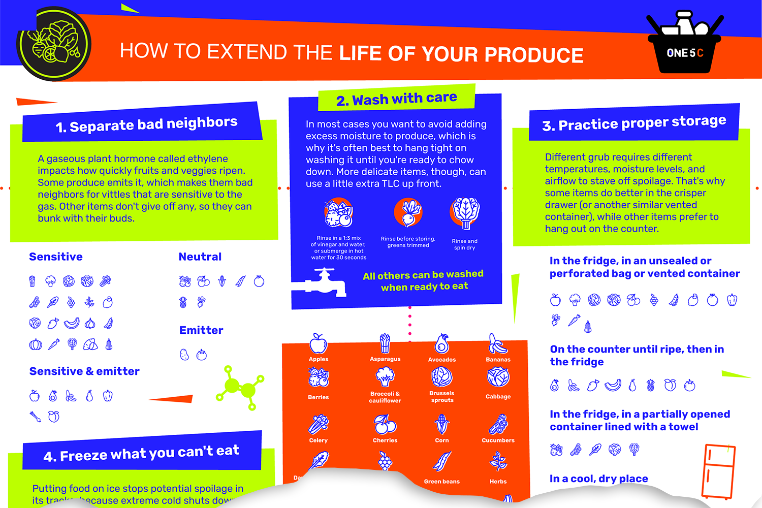 Your secret weapon in the fight against food waste