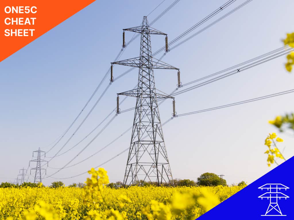 The power grid: A basic primer