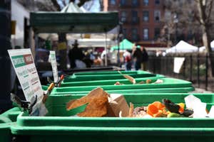 New York City initiates the country’s largest curbside compost program
