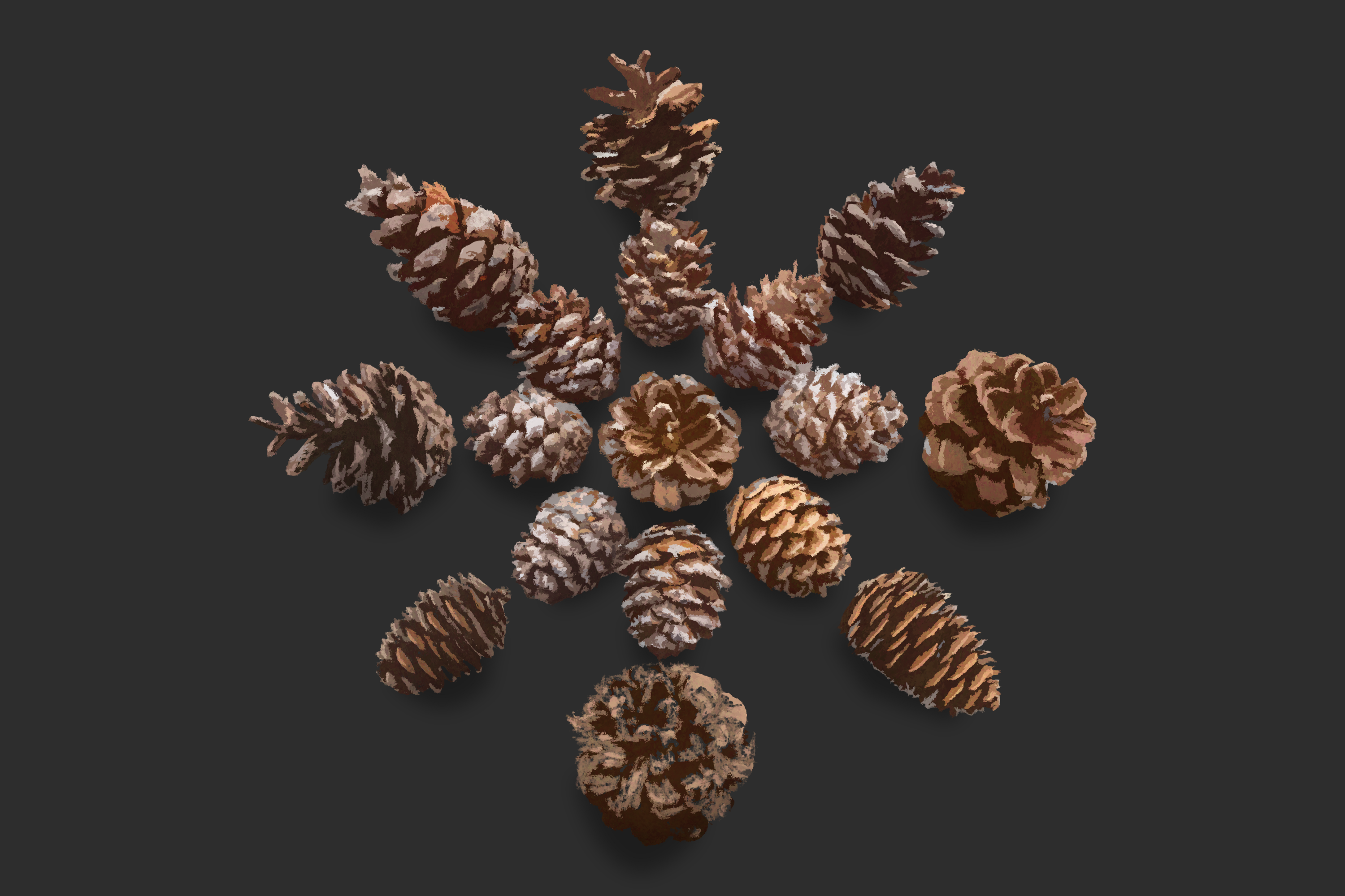 snowflake made of pine cones