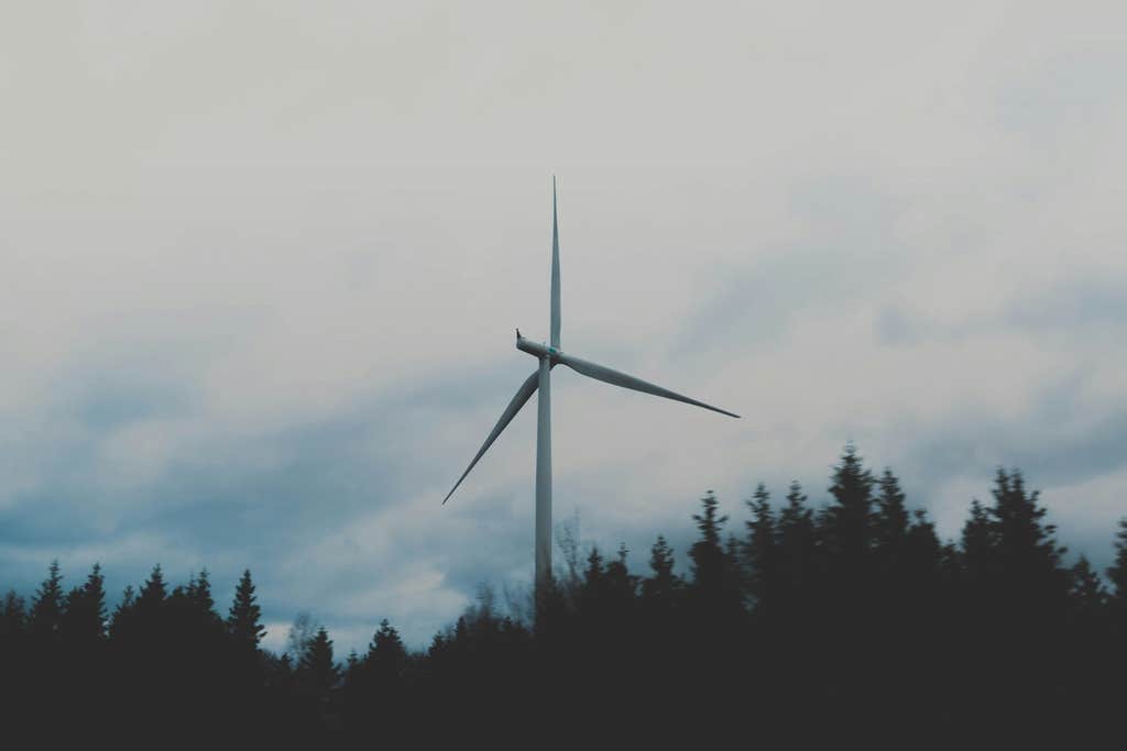 4 big climate stories on our radar in 2025