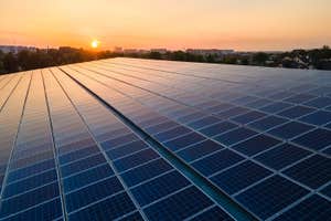Why renewable energy outshines carbon capture