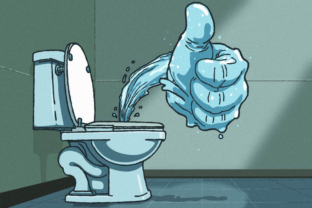 The best bidet hits all the right spots