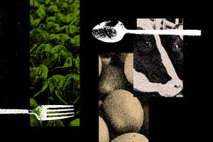 Simple ways to shrink your ‘foodprint’