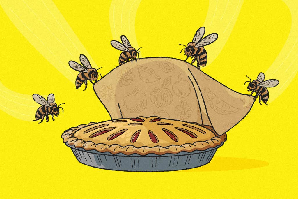 The best beeswax wraps for protecting your food