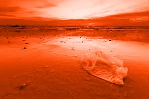 Plastic bag bans work—but we can do better