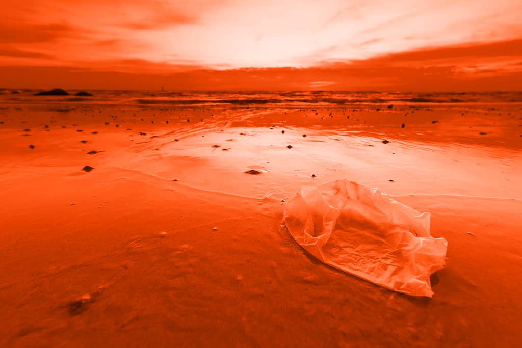 Plastic bag bans work—but we can do better