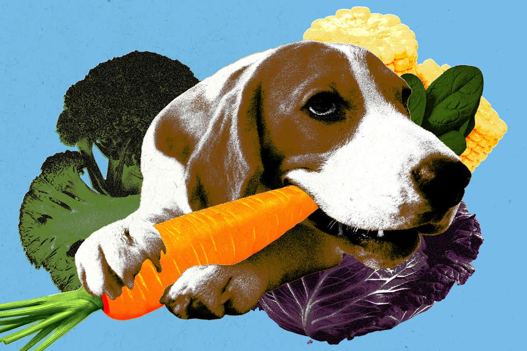 Your pet can eat less meat, too