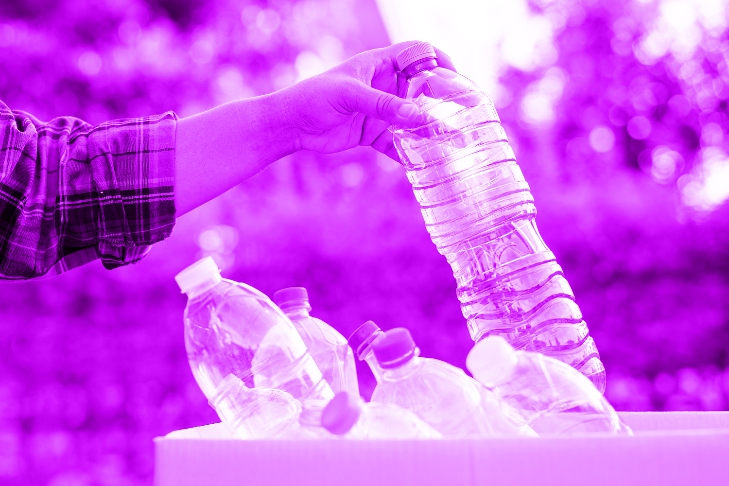 person putting empty plastic bottles into the bin