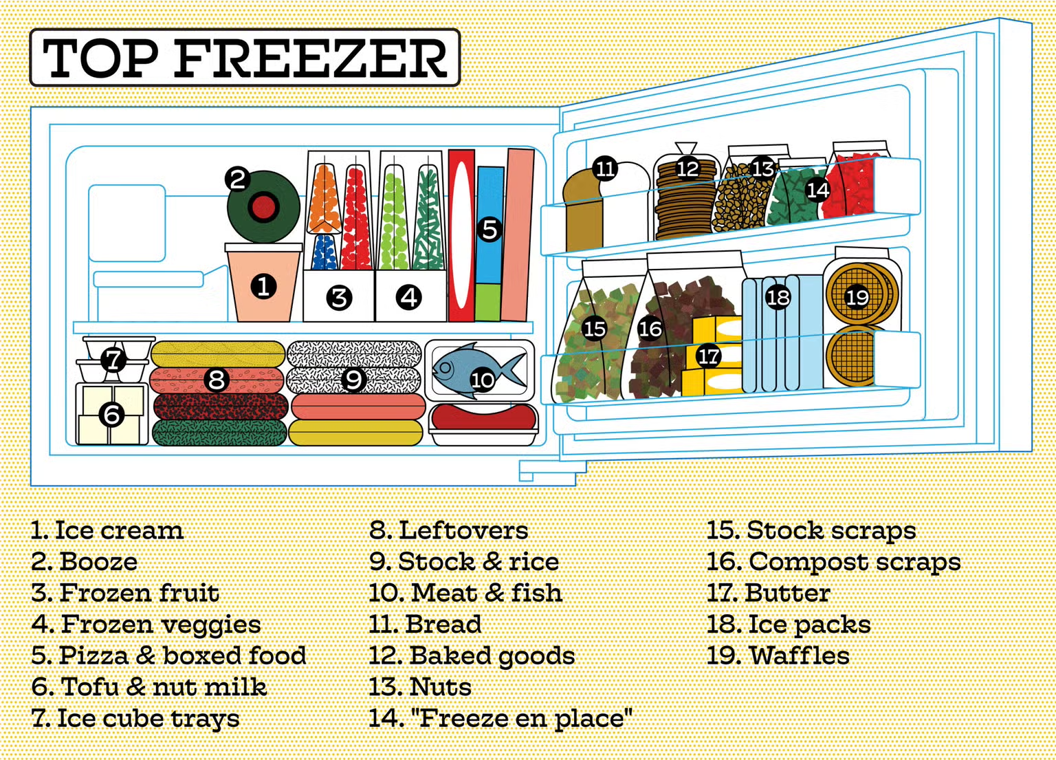 top freezer organization chart