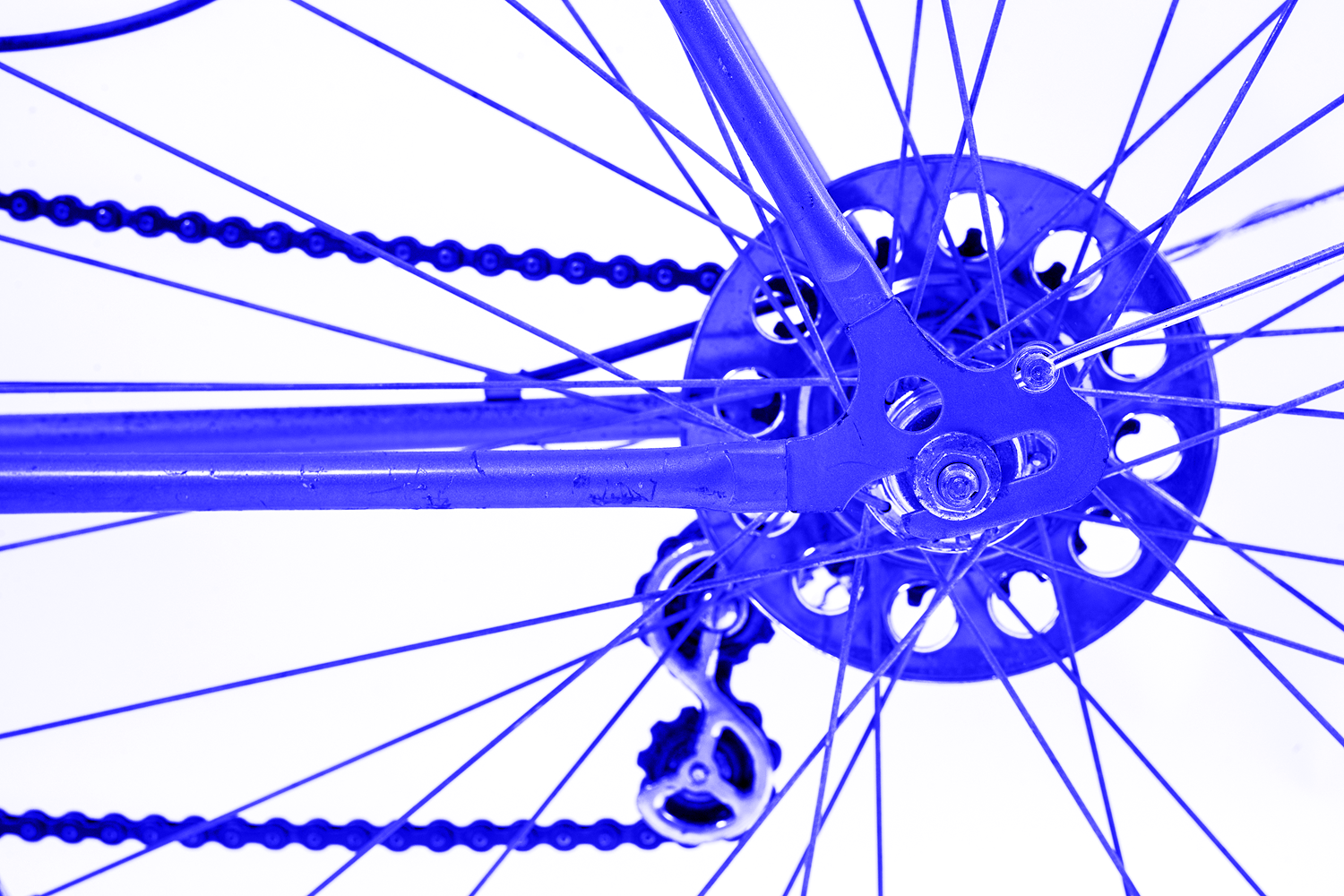 zoomed in image of bike chain ring