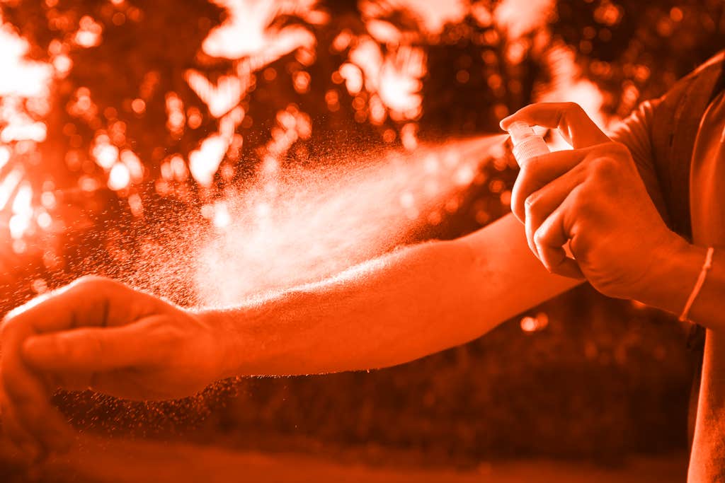 Which bug spray is right for you—and the environment?