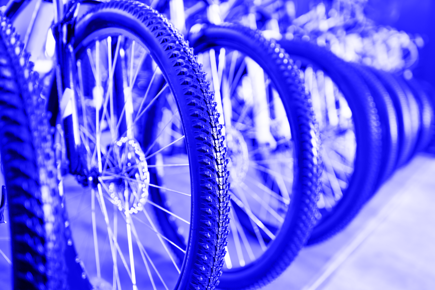 row of bikes in a shop