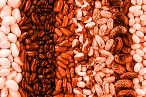 Midweek briefing: Beans booted from USDA guidelines?