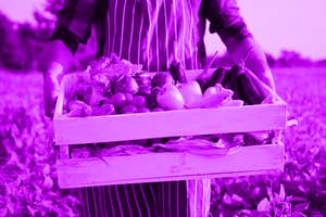 Is it better to buy organic?