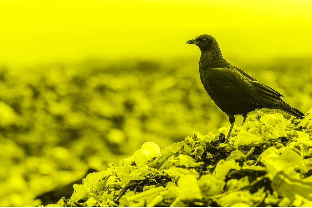 Midweek climate briefing: Can nations agree on how to handle plastics?