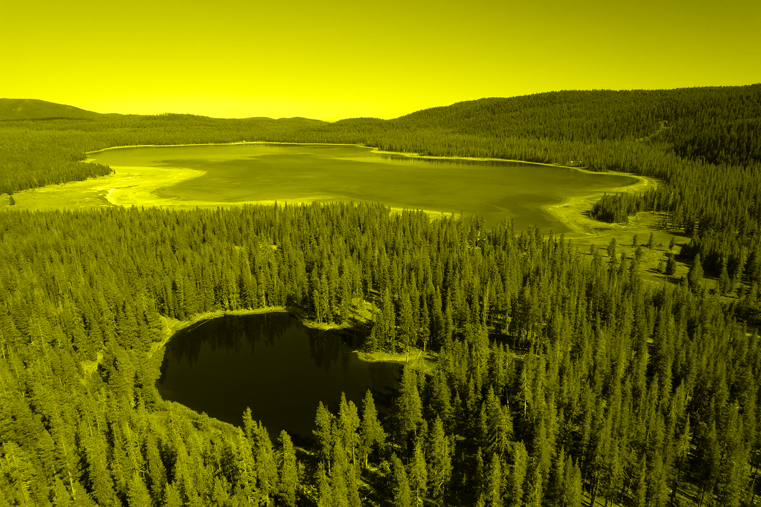 Medicine Lake in Modoc National Forext