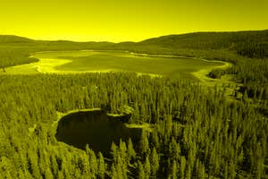 The Forest Service is trying to yank the ‘Roadless Rule’