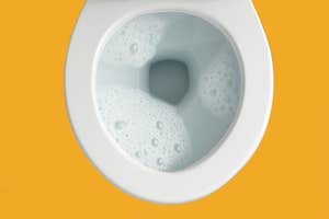 The best toilet cleaner is a tablet