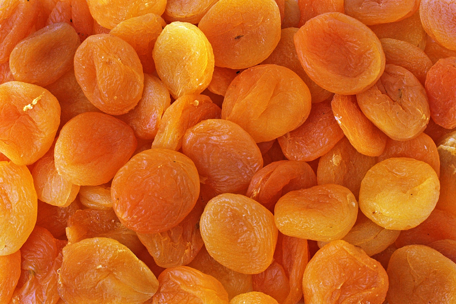 dried apricots