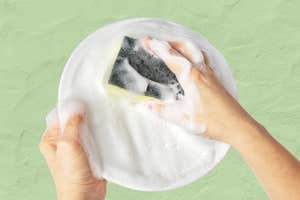 The best sustainable dish sponge