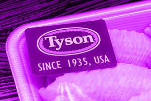 Tyson Foods can no longer call its meat ‘climate-smart’