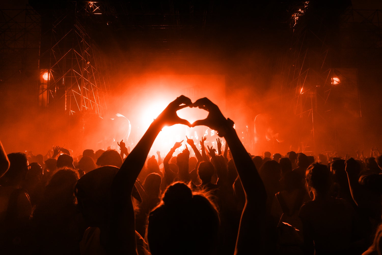 Crowd of fans at concert